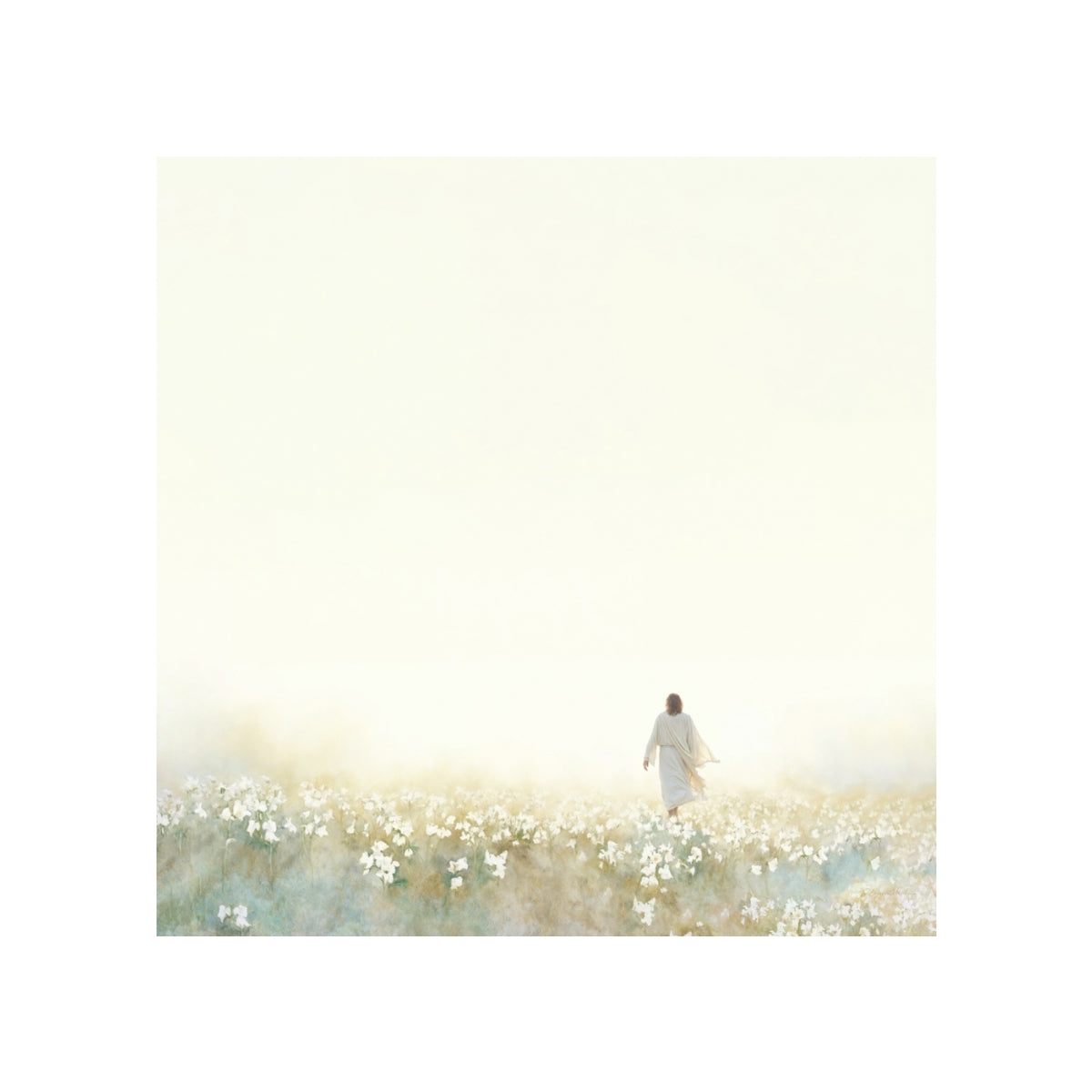 Into the Light