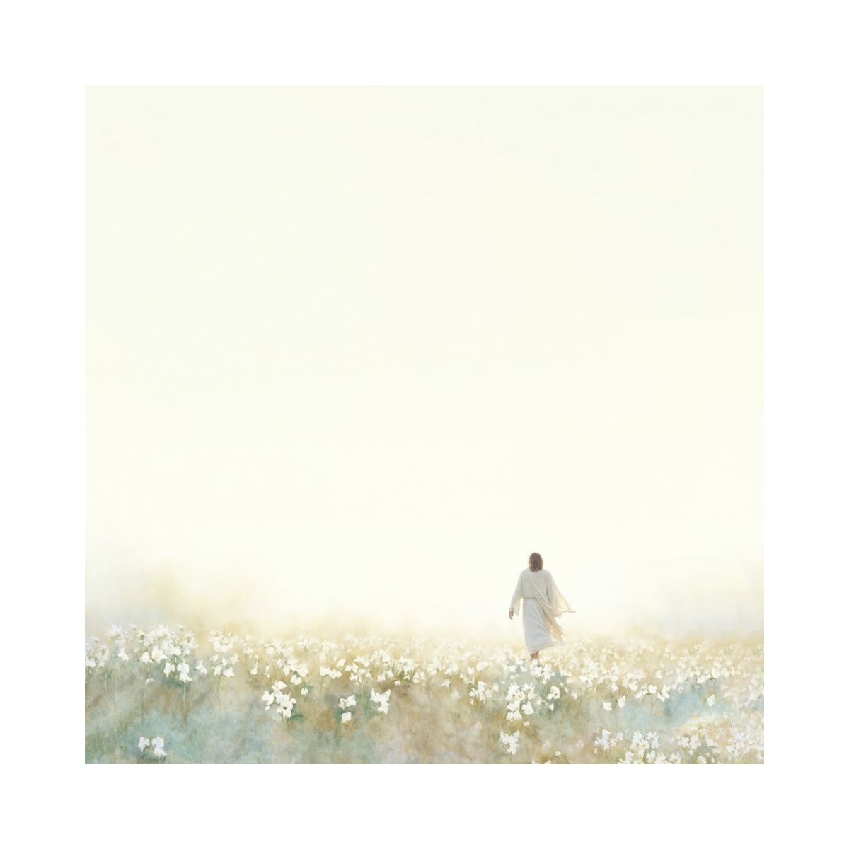 Into the Light