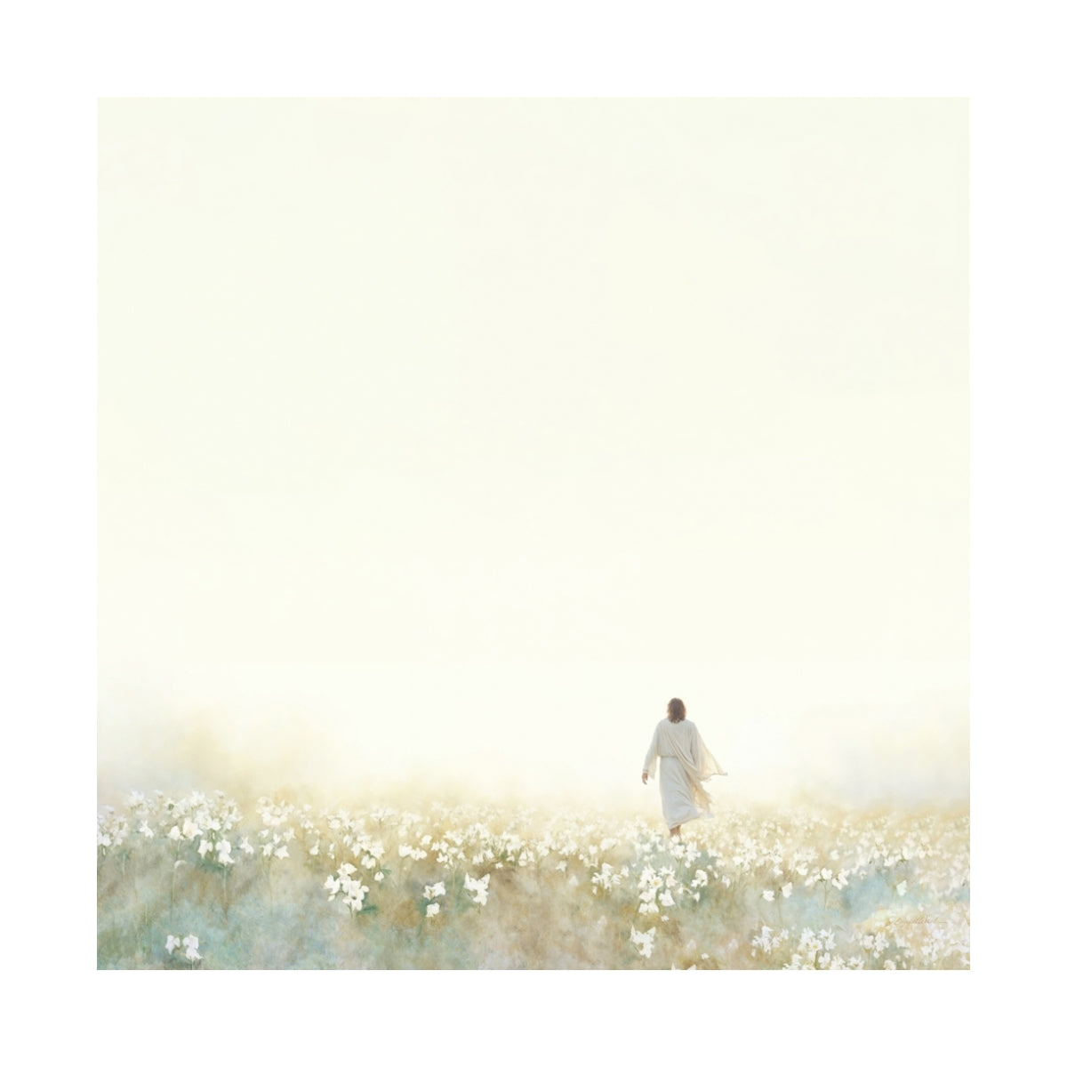 Into the Light