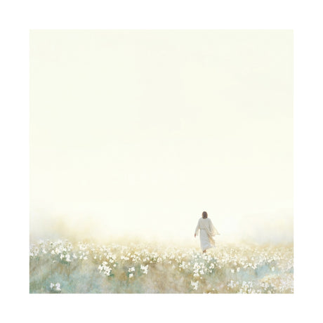 Into the Light