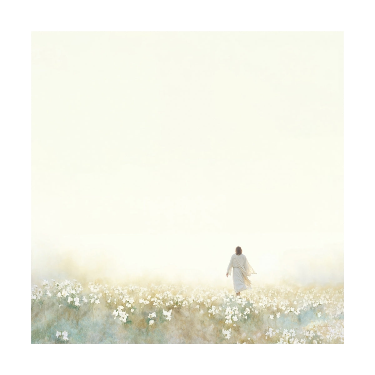 Into the Light