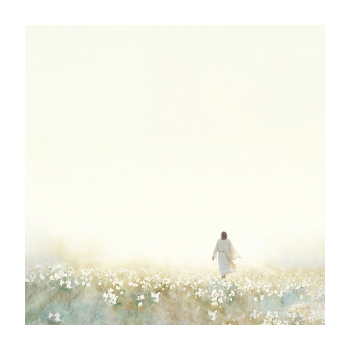 Into the Light