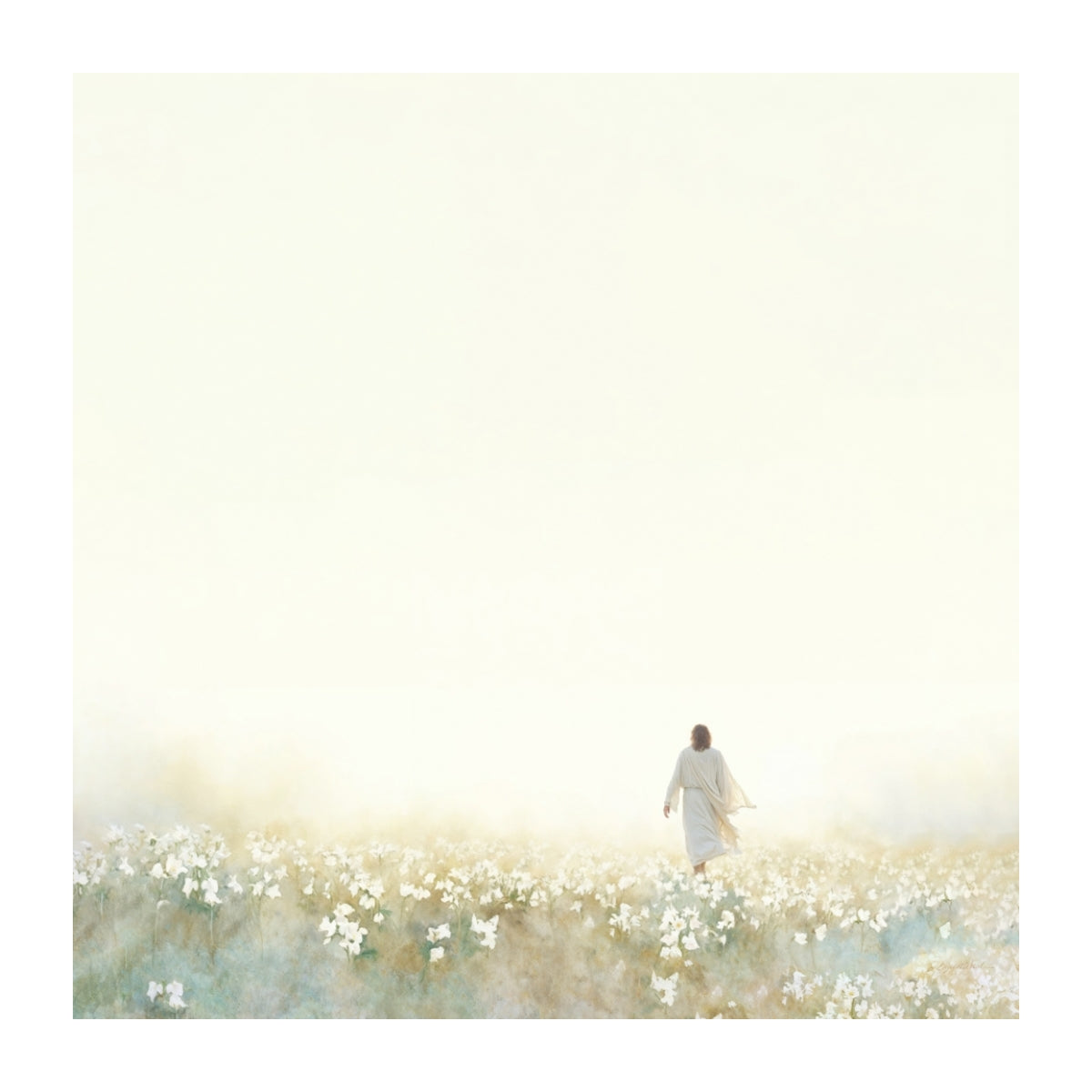 Into the Light