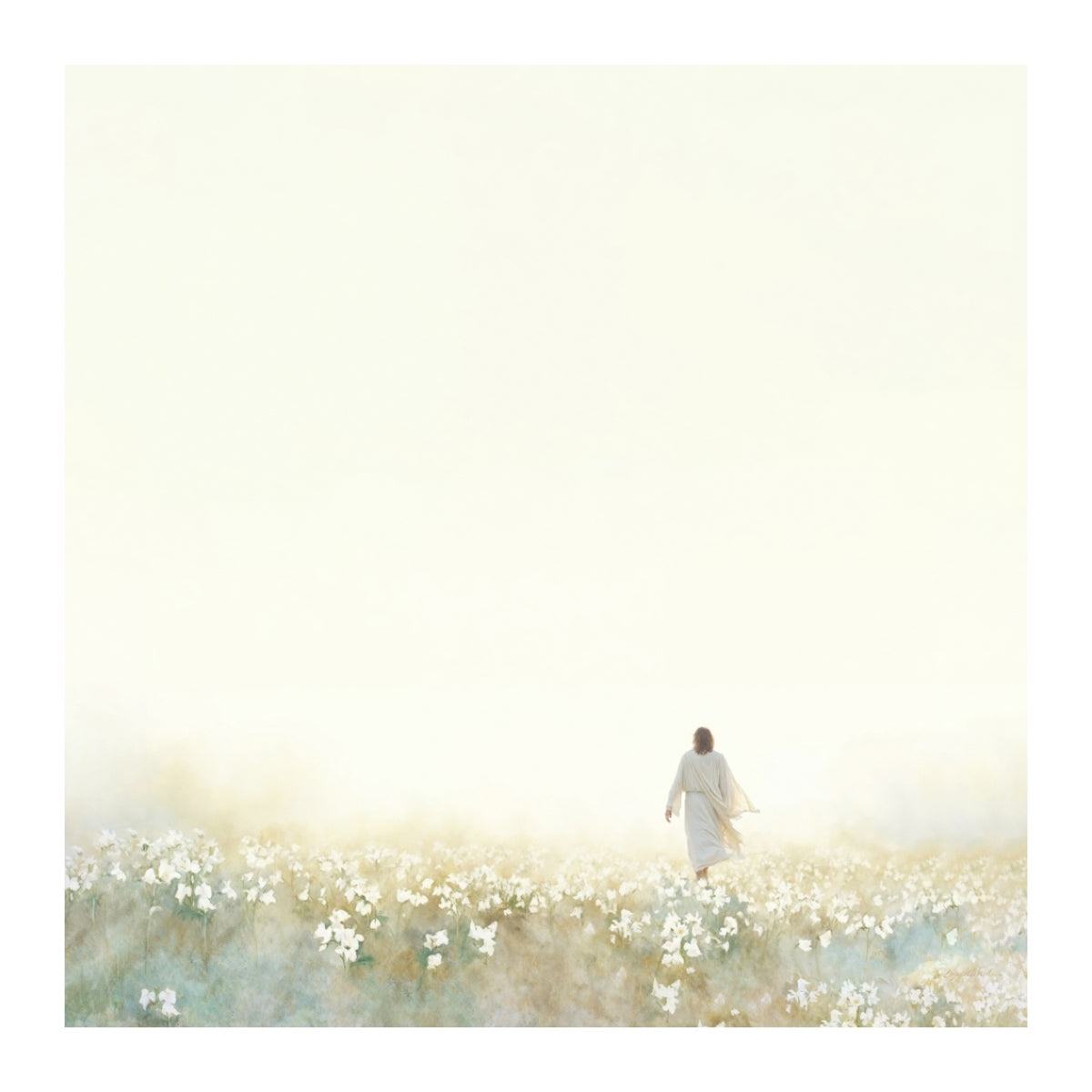 Into the Light