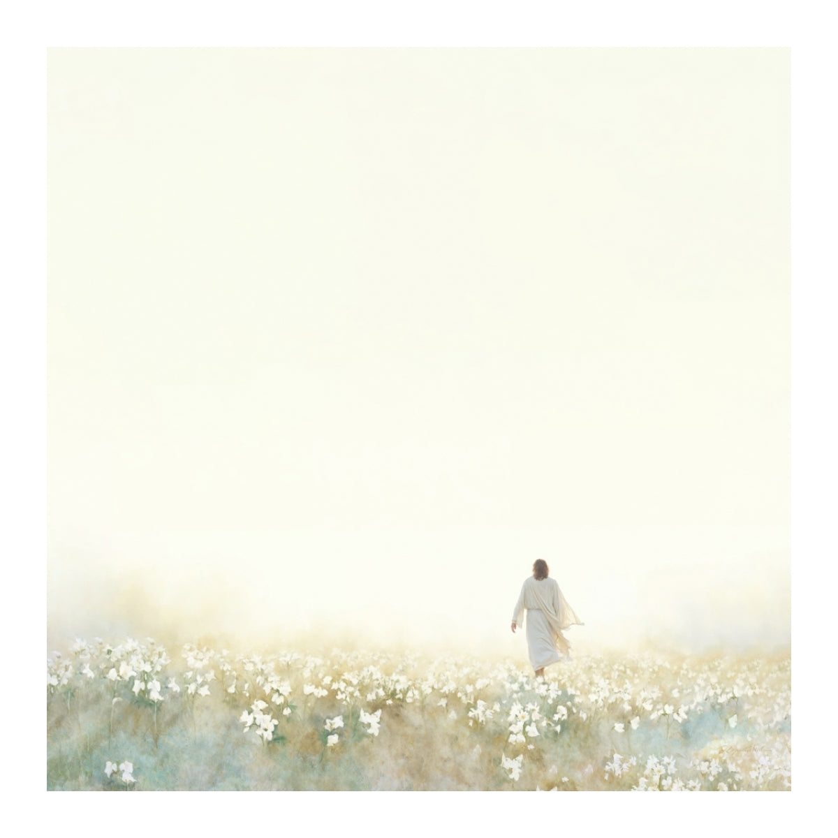 Into the Light