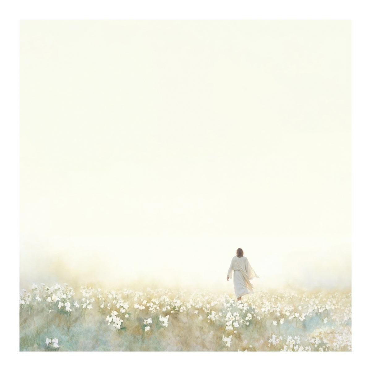 Into the Light