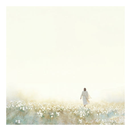 Into the Light