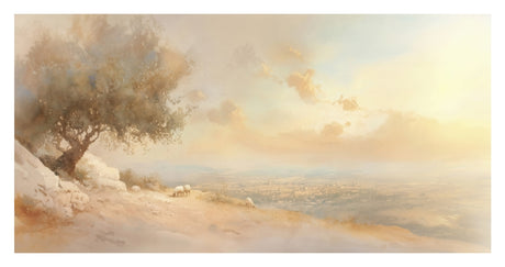 Beautiful Day Of Peace and Rest