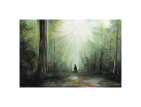 Sacred Grove