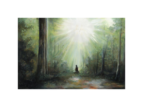 Sacred Grove