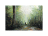 Sacred Grove