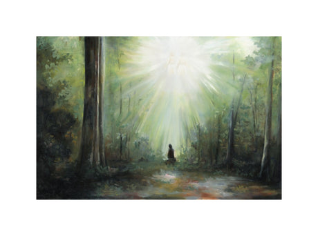 Sacred Grove