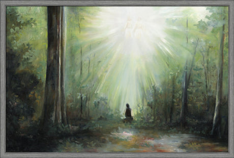 Sacred Grove