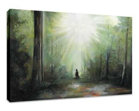 Sacred Grove