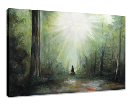 Sacred Grove