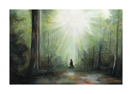 Sacred Grove