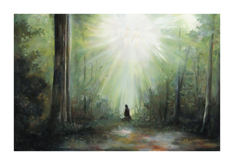 Sacred Grove