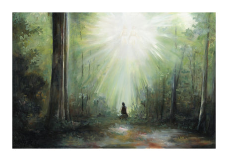 Sacred Grove