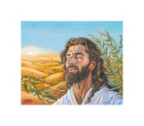 A Prayer for Peace