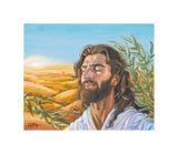 A Prayer for Peace