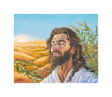 A Prayer for Peace