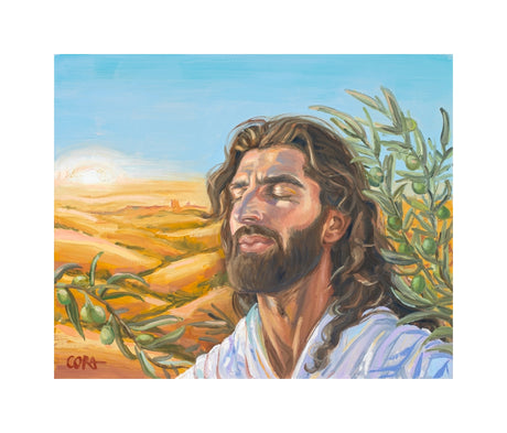 A Prayer for Peace