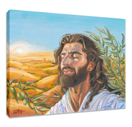 A Prayer for Peace