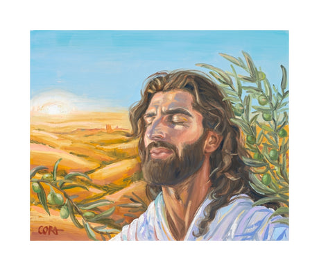A Prayer for Peace