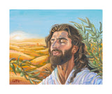 A Prayer for Peace