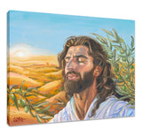 A Prayer for Peace