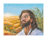 A Prayer for Peace