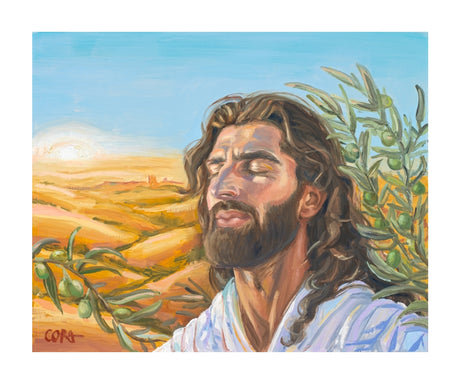A Prayer for Peace