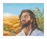 A Prayer for Peace