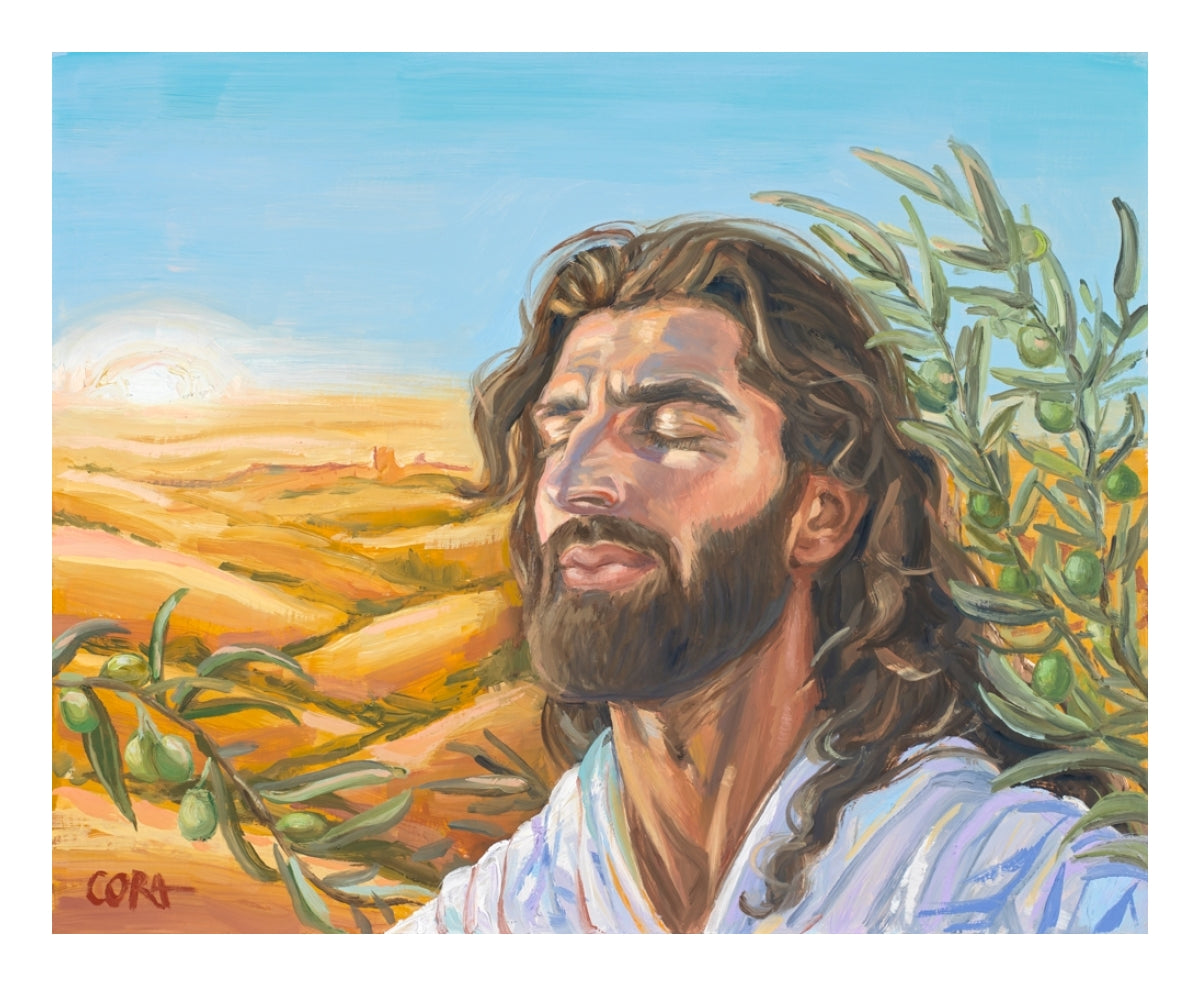A Prayer for Peace