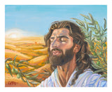 A Prayer for Peace