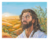 A Prayer for Peace