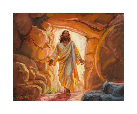 The Light From Within
