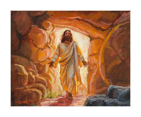 The Light From Within