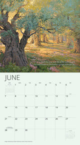 The Lord is My Light Bible Verse 2026 Wall Calendar