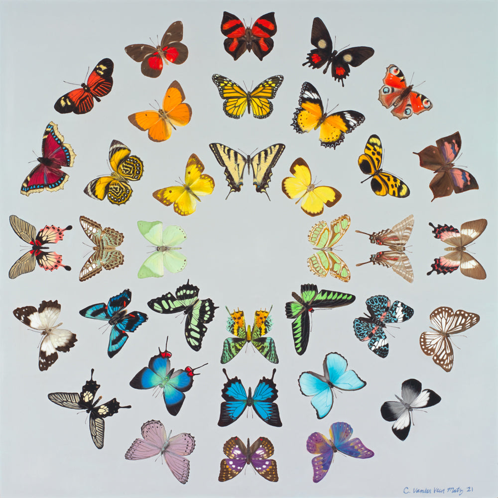 A wide variety of butterflies arranged in a circular pattern.
