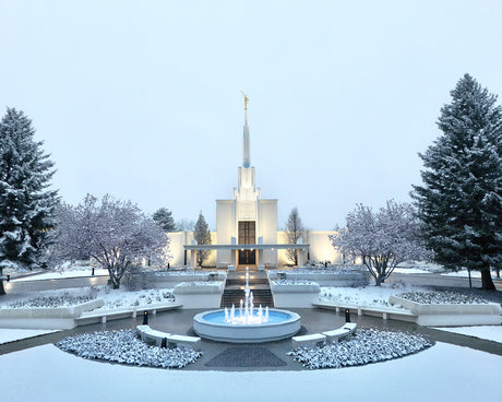 Denver Colorado Temple - Seasons Collide