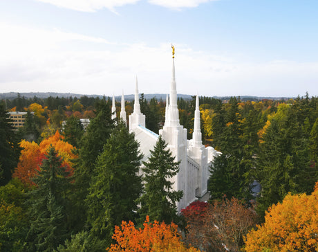 The Portland Oregon Temple surrounded by trees in the fall.