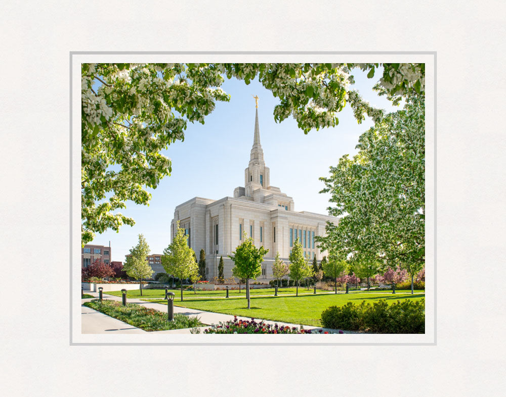 Ogden Utah Temple- Spring Blossoms