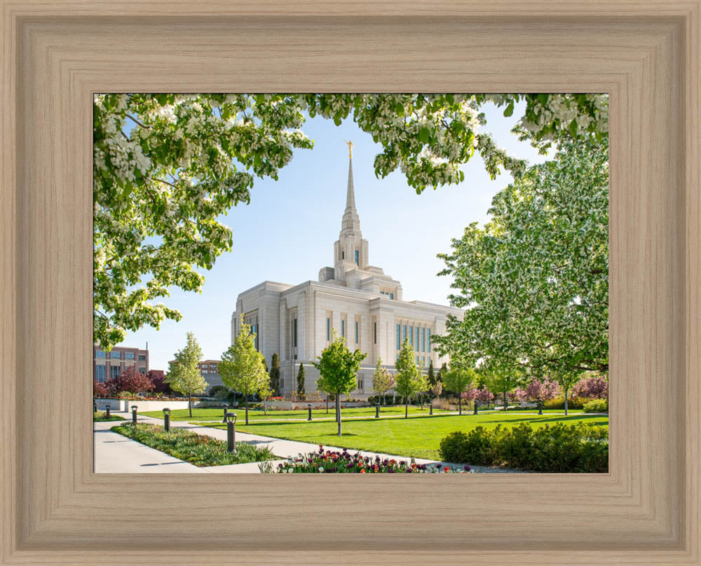 Ogden Utah Temple- Spring Blossoms