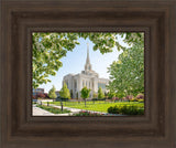 Ogden Utah Temple- Spring Blossoms