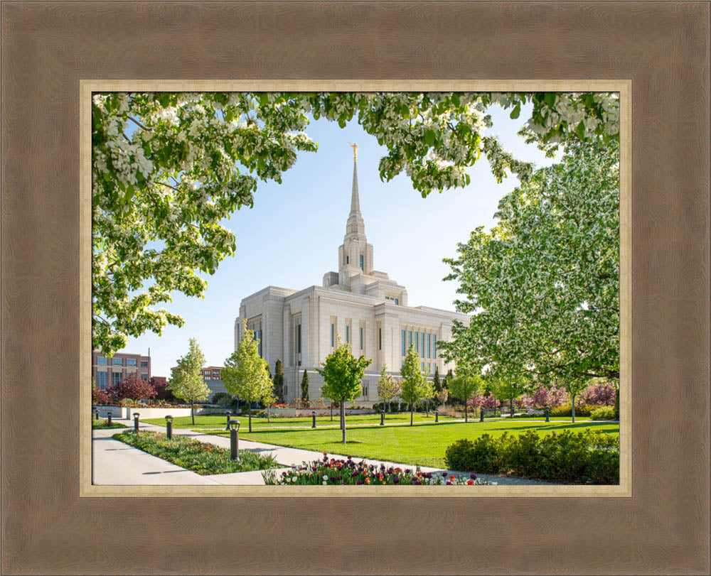 Ogden Utah Temple- Spring Blossoms