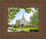 Ogden Utah Temple- Spring Blossoms