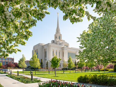 The Ogden Utah Temple surrounded by spring trees with white blossoms.