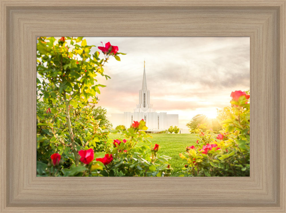 Jordan River Utah Temple - Roses by Evan Lurker