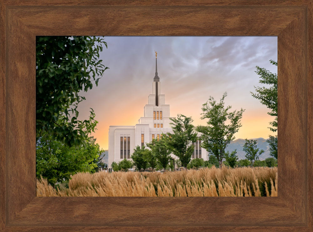 Saratoga Springs Utah Temple - Radiance